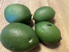 4 Realistic Artificial Limes Decorative Fake Fruit Kitchen Food Stage Prop READ