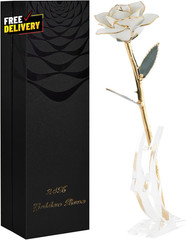 24K Gold Dipped Real Rose Gift w Stand White Gold Rose for Women Forever