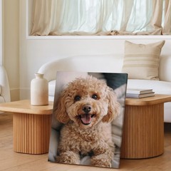 Cute Fluffy Small Dog Canvas Wall Art Happy Puppy Portrait Home Decor Print