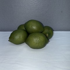 Green Limes Artificial Realistic Faux Fruit Decor Length 2.5″ Lot Of 6 READ