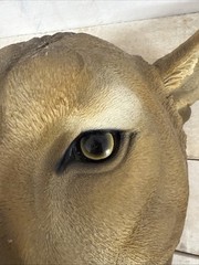 Puma Wall Art Eye-Catching Large Animal Head Fast Shipping