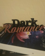 Personal Design and Hand Painted Book Shelf Sign