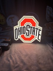 Custom 3D Printed Ohio State Lightbox- Unique And handcrafted