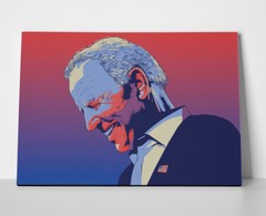 Joe Biden USA Poster or Canvas