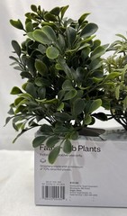 Room Essentials Three Herb Artificial Plants in White Pots. New