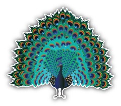 Peacock Car Bumper Sticker Decal
