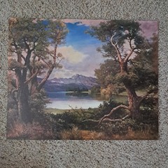 Quiet Pond~By Robert Wood Litho Print 16” x 20” On Cardboard Unframed 1950s MCM