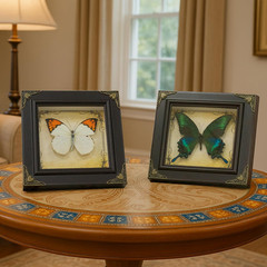 Handmade Real Butterfly Framed with 5 Pieces Gift Set – Gothic Home Decor and Vi