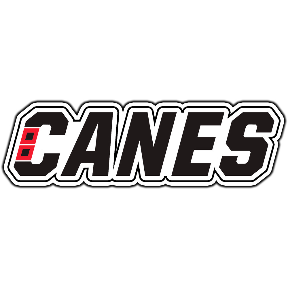 Carolina Hurricanes Script Logo #3 Hockey Sticker Waterproof Vinyl Decal Die-Cut