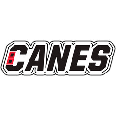 Carolina Hurricanes Script Logo #3 Hockey Sticker Waterproof Vinyl Decal Die-Cut