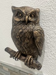 Hand Painted Owl Wall Sculpture Bird on Beanch Rustic Wildlife Wall Home Decor