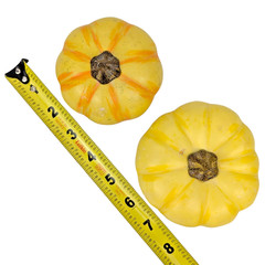 Pottery Barn Set of 4 Faux Gourds & Pumpkins Fall/Autumn Harvest Thanksgiving