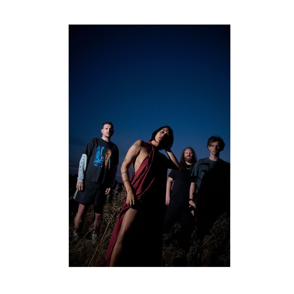 Music Band Theme Post-Punk Rock Group Celebrity Artists Collect – POSTER 20″x30″