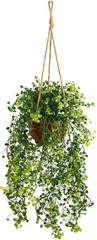 20in. Baby Tear Artificial Plant in Hanging Basket