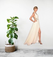 Music Fan Art 2, Star Taylor Life Size Peel & Stick Removable Cutout Wall Decal