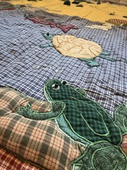 3D Fish Quilt Wall Hanging Plaid Border Thimbleberries Cottage Cabin Lodge
