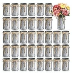 24 Pcs 4.3×2.6 Domensi High Farmhouse Vase Decor Vintage Flower Vase