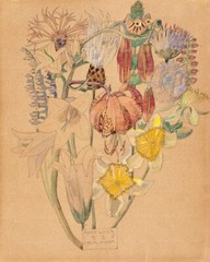 Flower Study : Charles Rennie Mackintosh : 1925 : Archival Art Print