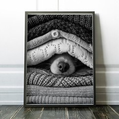 Noses Only Dog Hiding Between Sweaters Dogs Animals Wall Art Poster Print