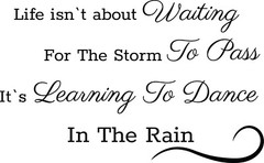 Wall Decal Quote Life Rain Happiness Home Interior Vinyl Decor gz434