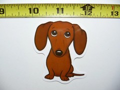 DACHSHUND SMALL STICKER DECAL IN TROUBLE BAD BOY DOG SO PET PRIDE FUNNY