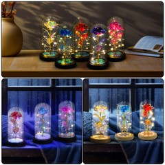 Forever Gifts for Women Valentine’s Day Gift Eternal Romantic Rose In Glass Dome