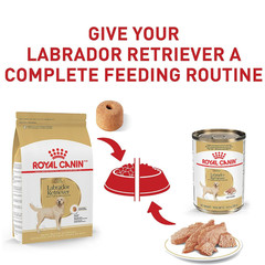 Royal Canin Labrador Retriever Adult Breed Specific Dry Dog Food – 30 Pound