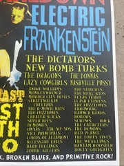 2000 Las Vegas Shakedown Poster Punk Rock Concert-Donnas -Nashville Pussy-Demons