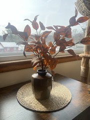 Hearth & Hand Magnolia Artificial Eucalyptus Arrangement Brown Vase 22” Farmhous