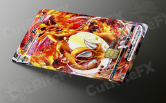 Custom Credit Card Skin