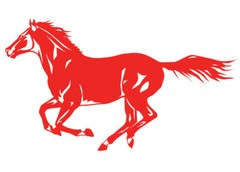 Horse Stallion Galloping #3, 4-21″ Outdoor Die Cut Vinyl Decal Sticker