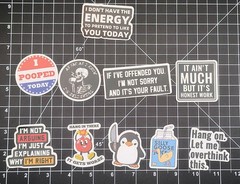 100 Pcs Funny Meme Stickers Pack Vinyl Decals Sarcastic Adult Humor Joke Lot