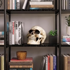 READAEER Life Size Resin Skull, Large Size Adult Skull Head Model for Home Decor