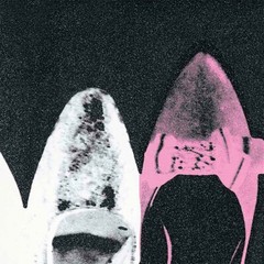 36W»x24H» DIAMOND DUST SHOES 1981 by ANDY WARHOL – WOMEN FLATS CHOICES of CANVAS