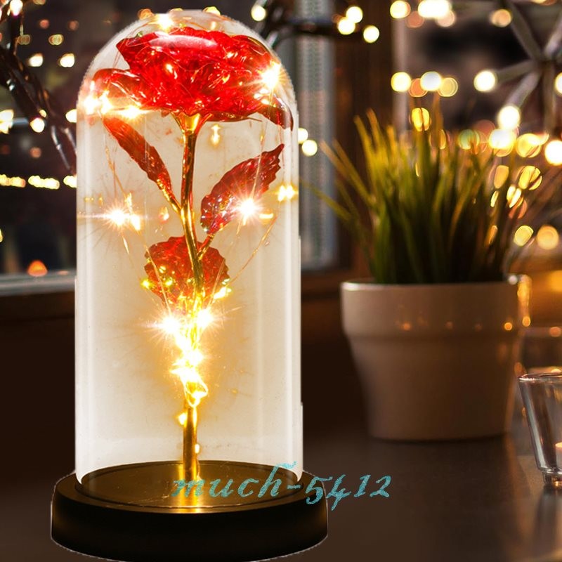 Rose Flower In Glass Gift For Women Wife Her Valentine Girlfriend Birthday Gifts