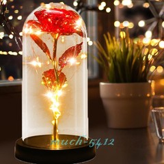 Rose Flower In Glass Gift For Women Wife Mom Girlfriend Birthday Valentines Gift