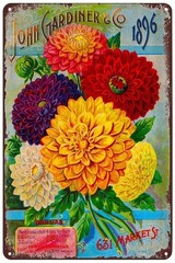 Vintage Metal Signs – Dahlias Flowers Seed Packet Tin Sign 12″L x 8″W, FQ14