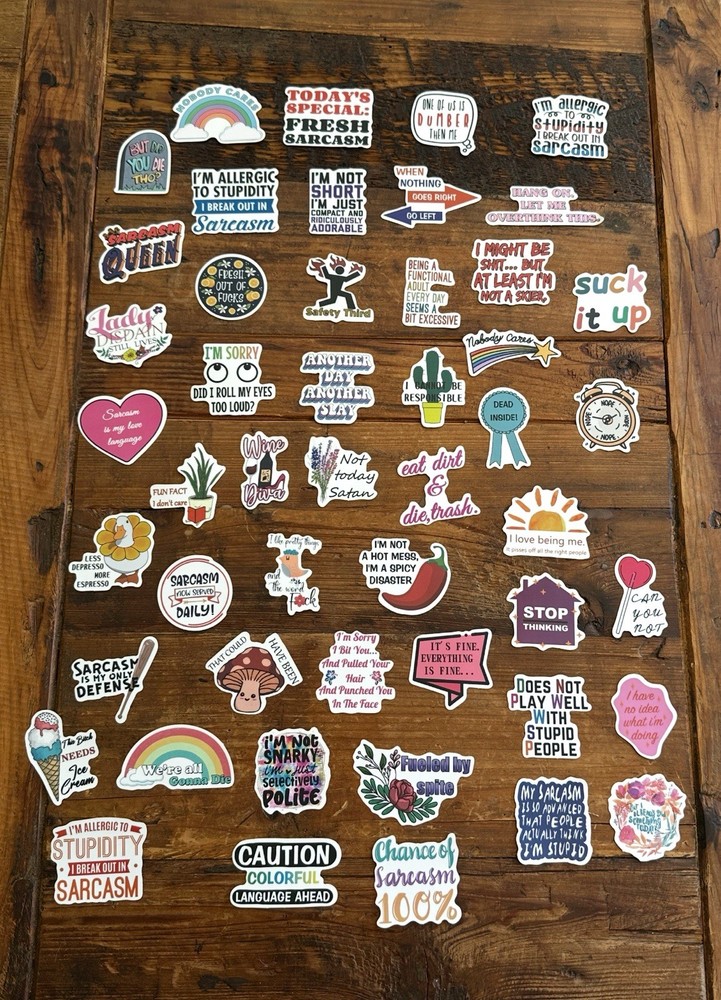Stickers Pack of 49 Funny Sarcasm Stickers Durable Unique Laptop Bottle Thermos