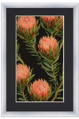 11×22 Frame Silver With Black Picture Mat For 11×22 Photo – Silver 13×24 Frame T