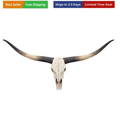 Longhorn Wall Decor, Cow Skull Wall Decor, 70-Inch Longhorn Skull Wall Sculpt…