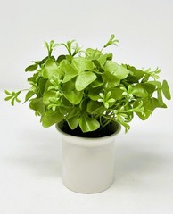 7″ Mini Artificial SHAMROCK CLOVER faux Silk plant potted in smooth ceramic pot