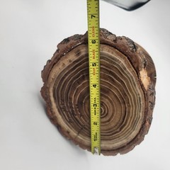 Handmade Wood Christmas Tree Medium Brown Turned Log Slice Base Tabletop Decor