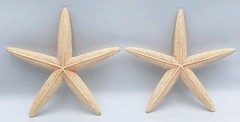 Finger Starfish 9″ Textured Plaster Cement Beach Costal Nautical Decor *Set Of 2