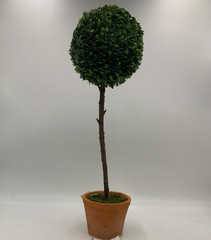 Pottery Barn Faux Potted Boxwood Ball Topiaries Green Medium #S9017