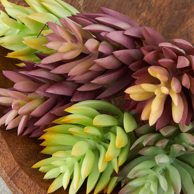 Package of 8 Assorted Color Indoor / Outdoor Artificial Succulent 5″ Picks