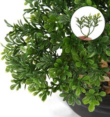 Mini Juniper Bonsai Tree with Ceramic Pot~-