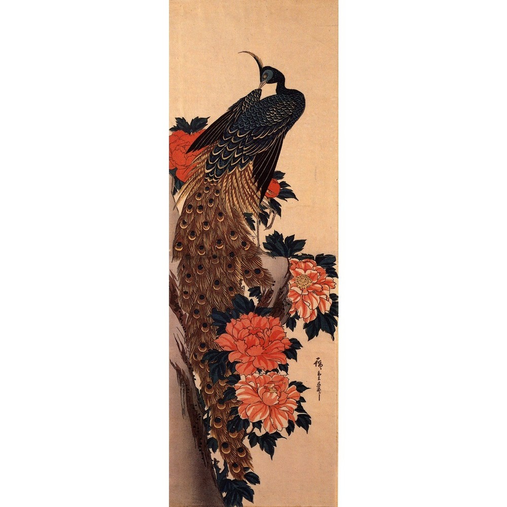 Peacock and peony by Hiroshige – 30×40 Inch Rolled Canvas Wall Art Print