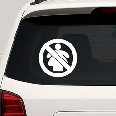 NO Fat Chicks Vinyl Die Cut Decal Sticker – Heavy Women Joke Funny