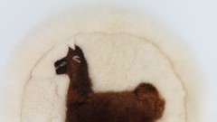 Alpaca Fur Pillow Cover Wall Hanging Tapestry Round Pieced Llama 18″ Diameter