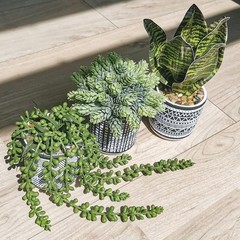 3 Pcs Small Potted Plants Artificial Succulents Hanging Plants and Faux Tropica